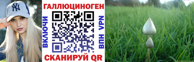 где купить наркоту  Каменка  Псилоцибиновые грибы Cubensis 