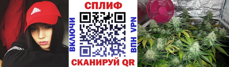 Бошки Шишки ГИДРОПОН  Каменка 
